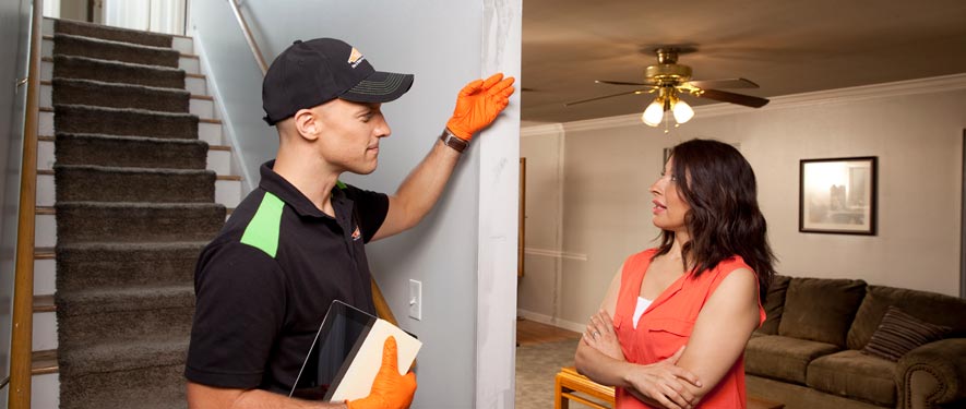 Bayview , CA fire repair process