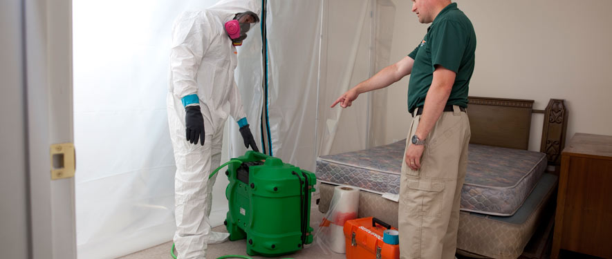 Bayview , CA mold removal process